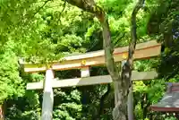 明治神宮(東京都)