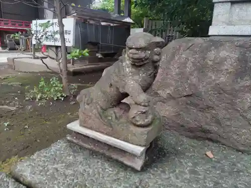 玉川神社の狛犬