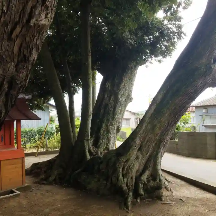 道路衢神(茨城県)