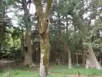 太祝詞神社の自然