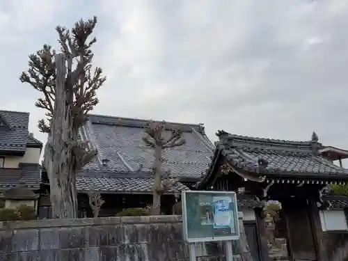 願通寺の建物その他