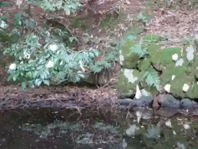 元伊勢内宮 皇大神社(京都府)