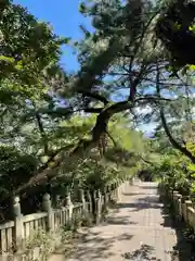 琴彈八幡宮の建物その他