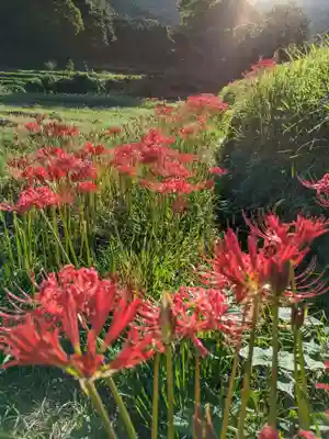 宝城坊(神奈川県)