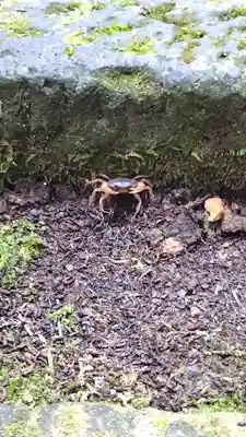 大塩八幡宮(福井県)