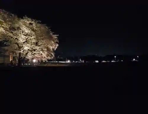 武田廣神社の自然