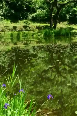 郡殿の池弁財天社(新潟県)