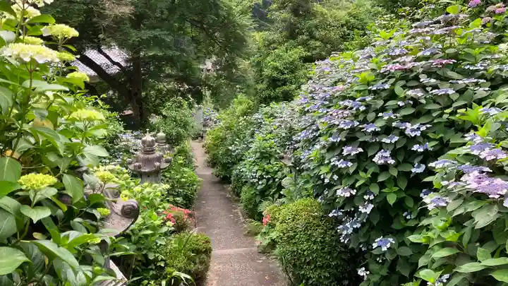 西法院(岡山県)