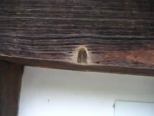 根来寺のその他建物