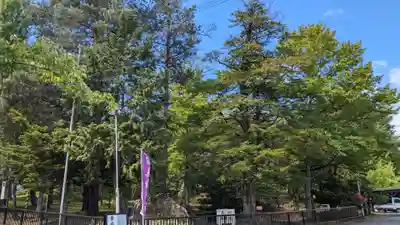 美幌神社の自然