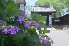 喜多院(埼玉県)