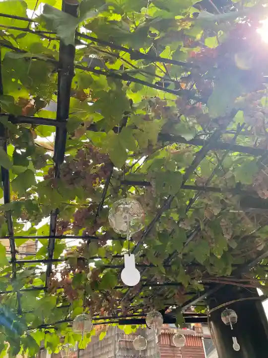菊名神社(神奈川県)