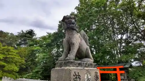 滝川神社の狛犬