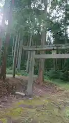 茅部神社の鳥居