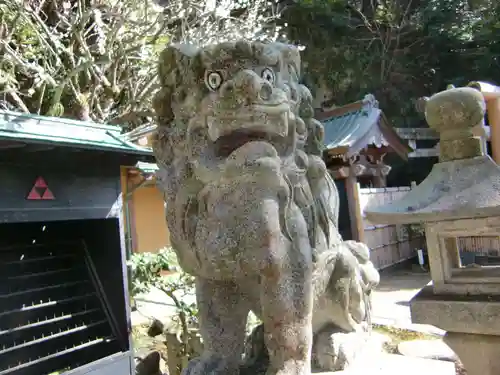 銭洗弁財天宇賀福神社の狛犬