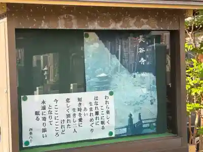 東善寺(東京都)