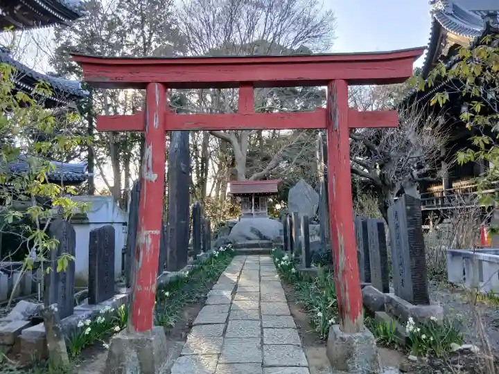 金蔵寺の{uncategorized: "未分類", other: "その他", undefined: "問題あり", building: "その他建物", grave: "お墓", sacred_gate: "鳥居", guardian: "狛犬", statue: "像", buddha: "仏像", history: "歴史", nature: "自然", garden: "庭園", animal: "動物", pagoda: "塔", temizu: "手水舎", mountain_gate: "山門・神門", sanctuary: "本殿・本堂", subordinate: "末社・摂社", art: "芸術", scenery: "景色", jizo: "地蔵", ema: "絵馬", goshuin: "御朱印", omikuji: "おみくじ", items: "授与品その他", amulet: "お守り", goshuincho: "御朱印帳", eats: "食事", festival: "お祭り", votive_dance: "神楽", shichigosan: "七五三参", wedding: "結婚式", experience: "体験その他", initially: "初詣", around: "周辺", anti_infection: "感染症対策"}