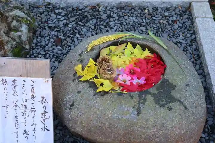 正寿院の手水舎