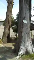 飯綱神社の建物その他