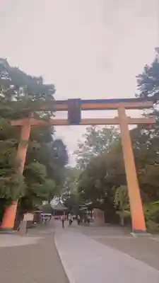 川越氷川神社(埼玉県)