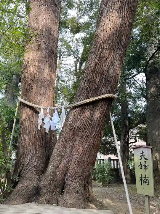 武蔵一宮氷川神社(埼玉県)