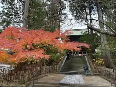 円覚寺(神奈川県)