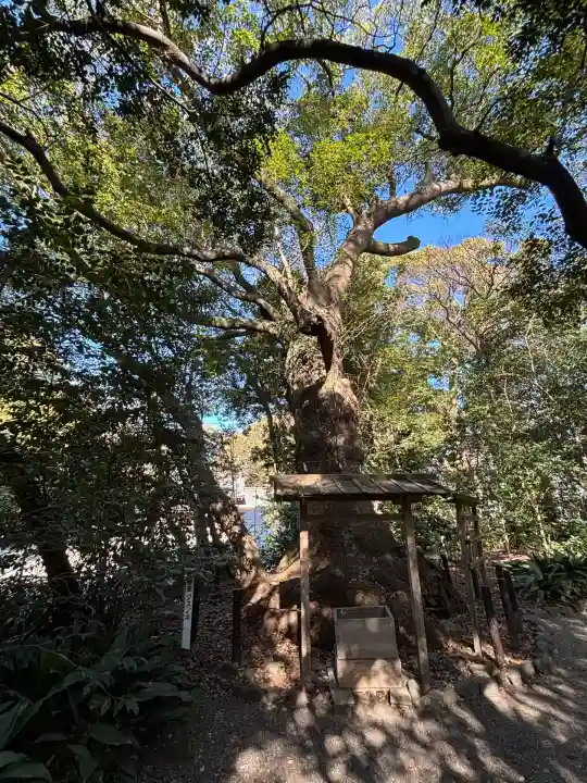 高座結御子神社(熱田神宮摂社)(愛知県)