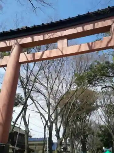 武蔵一宮氷川神社の鳥居