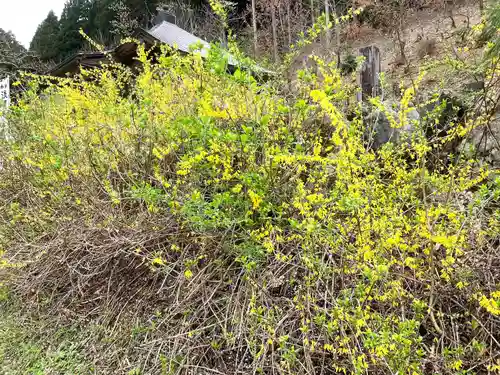 淡墨観音(岐阜県)