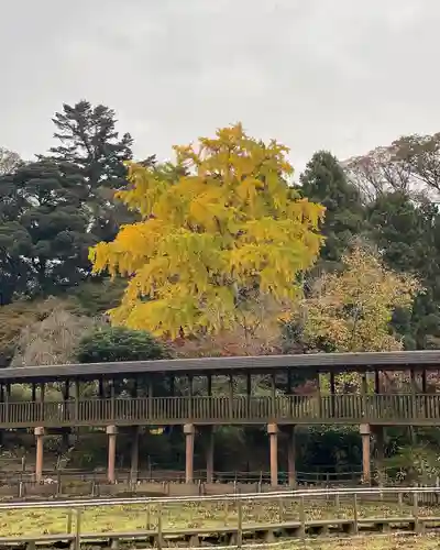 本土寺(千葉県)