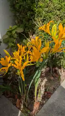 浩徳院(京都府)