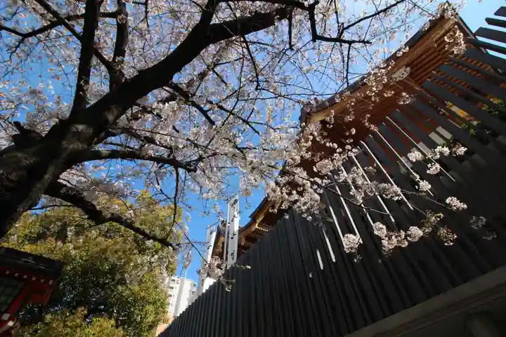 水天宮の本殿・本堂