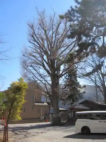 取手八坂神社(茨城県)