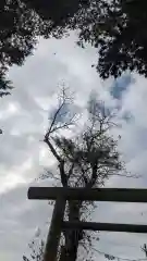 酒門神社(茨城県)