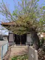 茶屋薬師堂(神奈川県)