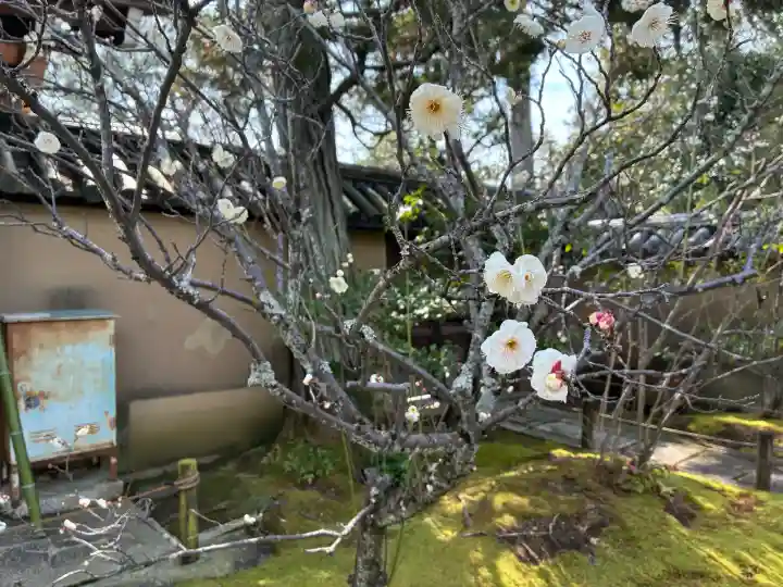 大仙院の{uncategorized: "未分類", other: "その他", undefined: "問題あり", building: "その他建物", grave: "お墓", sacred_gate: "鳥居", guardian: "狛犬", statue: "像", buddha: "仏像", history: "歴史", nature: "自然", garden: "庭園", animal: "動物", pagoda: "塔", temizu: "手水舎", mountain_gate: "山門・神門", sanctuary: "本殿・本堂", subordinate: "末社・摂社", art: "芸術", scenery: "景色", jizo: "地蔵", ema: "絵馬", goshuin: "御朱印", omikuji: "おみくじ", items: "授与品その他", amulet: "お守り", goshuincho: "御朱印帳", eats: "食事", festival: "お祭り", votive_dance: "神楽", shichigosan: "七五三参", wedding: "結婚式", experience: "体験その他", initially: "初詣", around: "周辺", anti_infection: "感染症対策"}