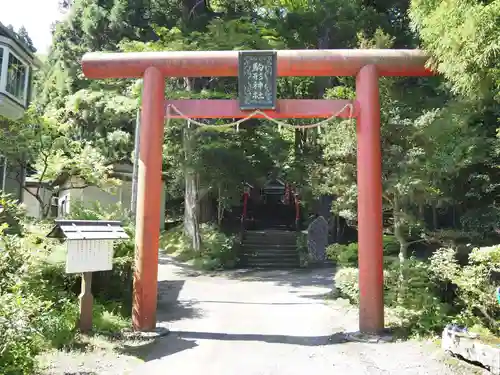 駒形神社（箱根神社摂社）の鳥居