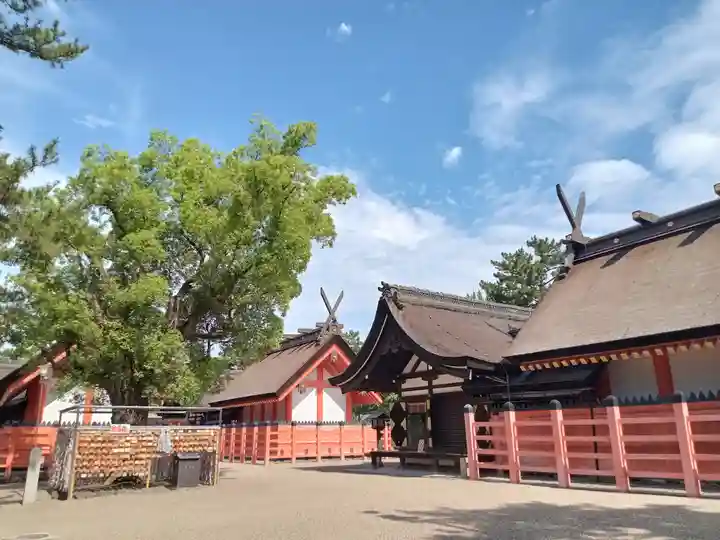 住吉大社(大阪府)
