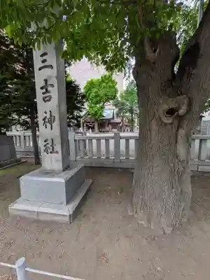 三吉神社の自然