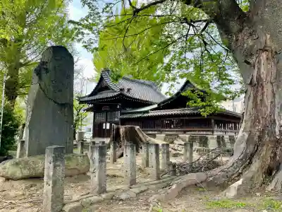 千形神社の{uncategorized: "未分類", other: "その他", undefined: "問題あり", building: "その他建物", grave: "お墓", sacred_gate: "鳥居", guardian: "狛犬", statue: "像", buddha: "仏像", history: "歴史", nature: "自然", garden: "庭園", animal: "動物", pagoda: "塔", temizu: "手水舎", mountain_gate: "山門・神門", sanctuary: "本殿・本堂", subordinate: "末社・摂社", art: "芸術", scenery: "景色", jizo: "地蔵", ema: "絵馬", goshuin: "御朱印", omikuji: "おみくじ", items: "授与品その他", amulet: "お守り", goshuincho: "御朱印帳", eats: "食事", festival: "お祭り", votive_dance: "神楽", shichigosan: "七五三参", wedding: "結婚式", experience: "体験その他", initially: "初詣", around: "周辺", anti_infection: "感染症対策"}