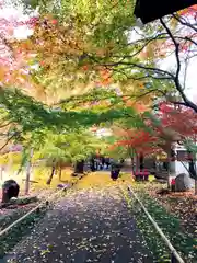 淨眞寺(東京都)