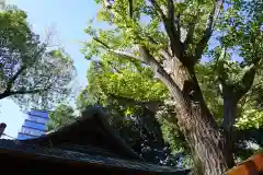 阿邪訶根神社の建物その他