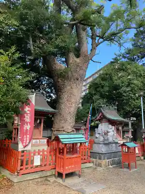 長田神社(兵庫県)