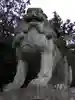 今宮神社の狛犬