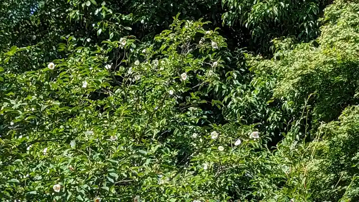 東林院(京都府)