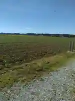 八龍神社(福島県)