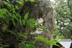 鹿島大神宮の自然