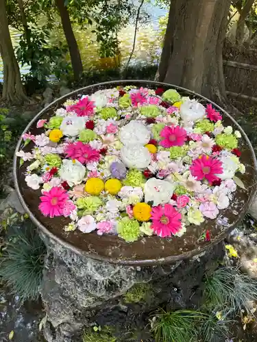 武蔵一宮氷川神社の手水