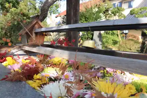 豊景神社の手水