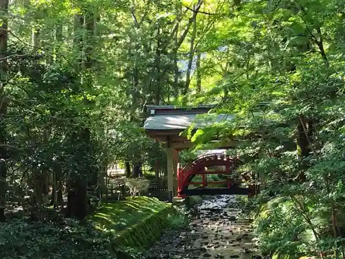 彌彦神社(新潟県)